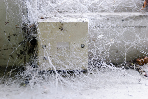 Telephone socket covered in cobwebs unused for years.