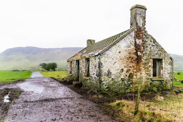 Abandoned Irish cottage now used as a cattle shed