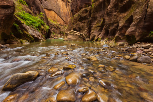 istock Virgin River Narrows in Zion National Park. 967243272