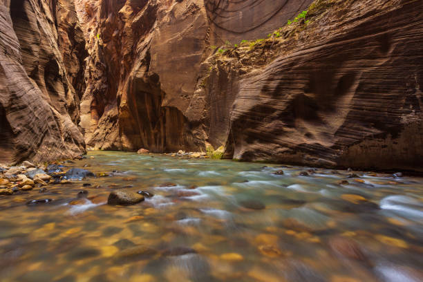 istock Virgin River Narrows in Zion National Park. 967244454