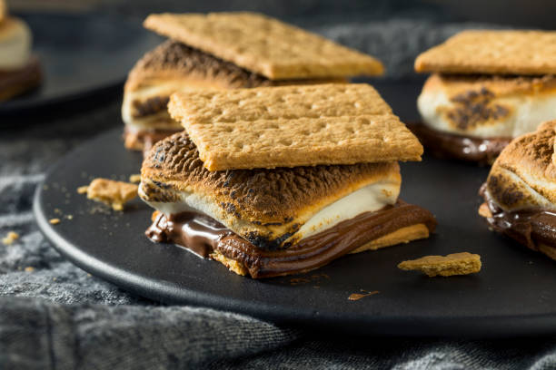 istock Homemade Chocolate Smores with Marshmallows 967254262