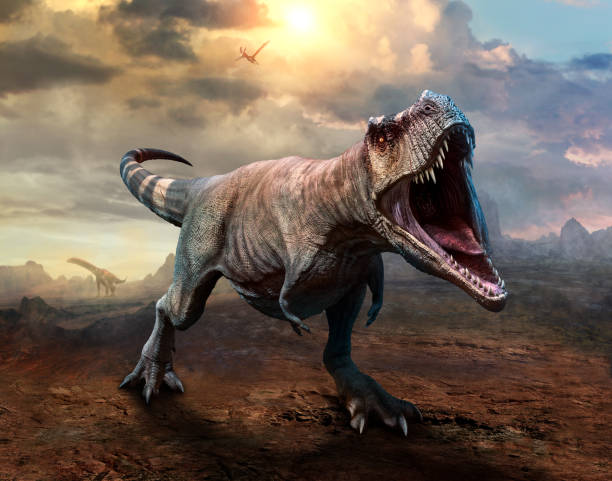 tyrannosaurus rex szene 3d illustration - ausgestorbene tierart stock-fotos und bilder