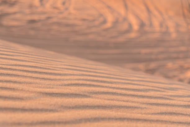 istock Desert Safari in Dubai 967283618