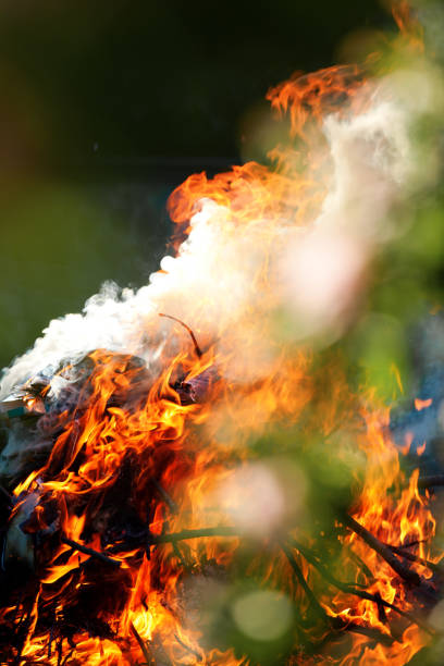 istock Bright fire in the rays of sunlight 967295008