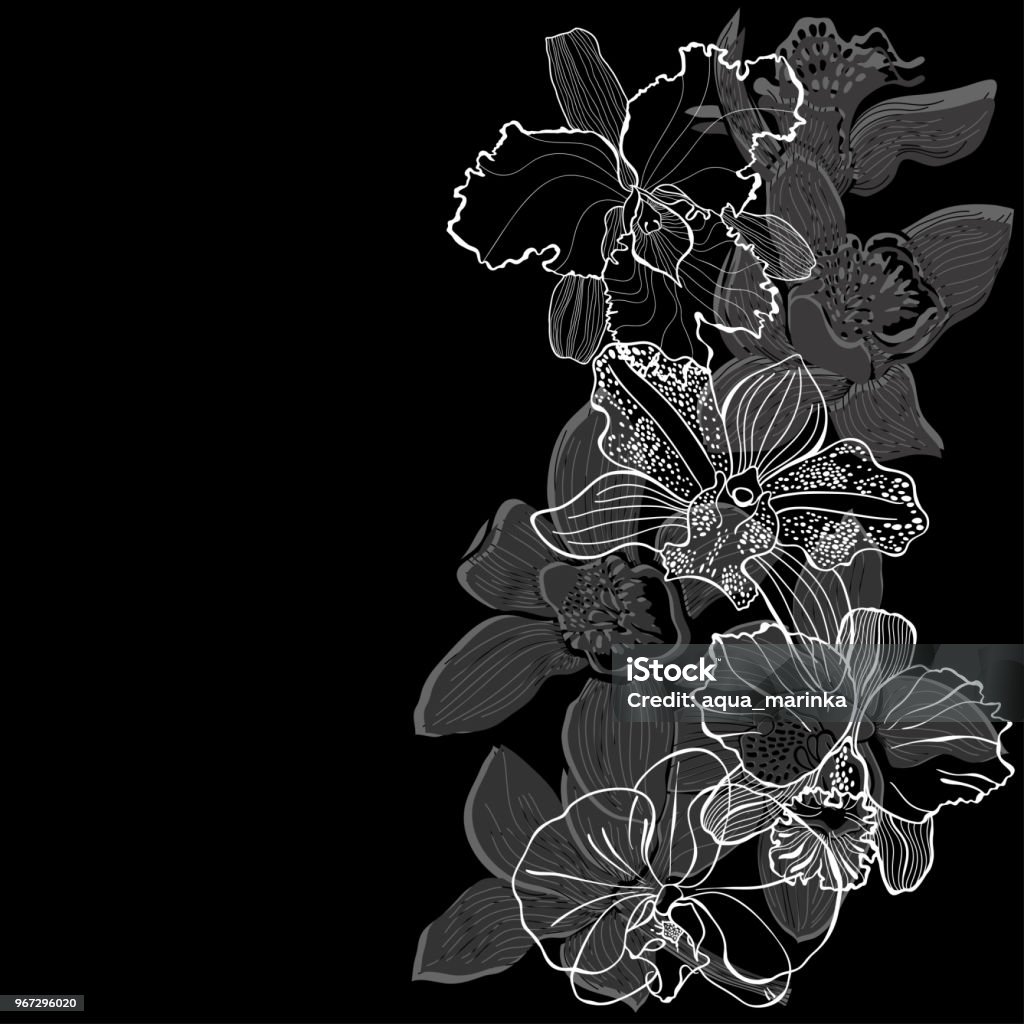 Nền Hoa Với Hoa Lan Trên Nền Đen Hình Minh Họa Vector Với Vị Trí ...