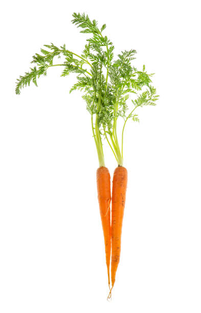 istock Carrots green leaves isolated white background 967300002
