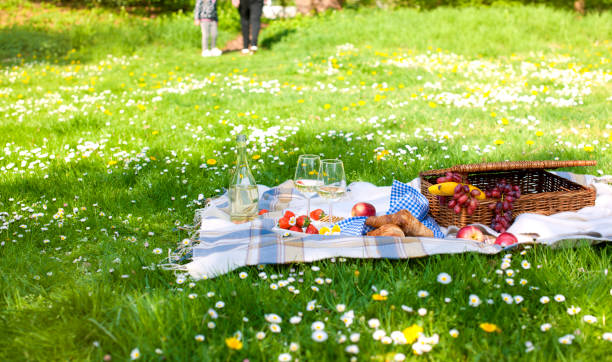 istock Checkered Plaid Picnic Apples Basket Fruit Green Grass Summer Time Rest Background Design , Copy space 967309136