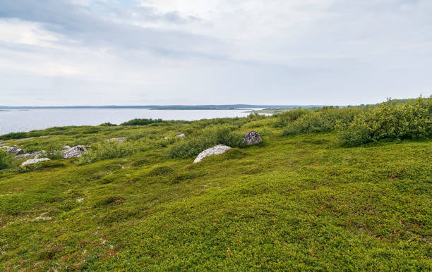 istock Big Zayatsky island, Russia 967315150