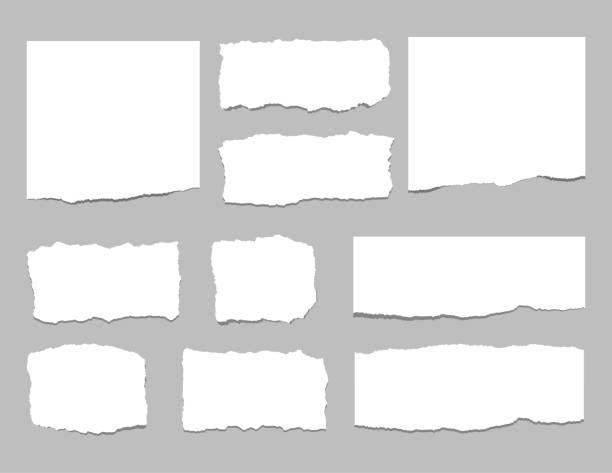 ilustrações de stock, clip art, desenhos animados e ícones de torn sheets of paper. torn paper strips. vector illustration - vector blank white