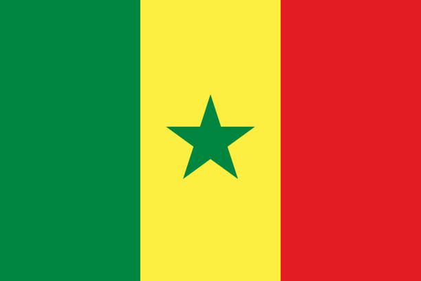 vektor-flagge des senegal. verhältnis 2:3. senegalesische nationalen trikolore. tricolor. - flag of senegal stock-grafiken, -clipart, -cartoons und -symbole