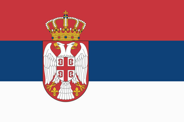 ilustrações de stock, clip art, desenhos animados e ícones de vector flag of serbia. proportion 2:3. serbian national tricolor flag. tricolor. - bandeira da sérvia