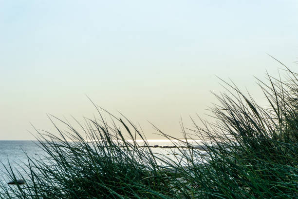 Bornholm beach, Denmark, on a evening in summer