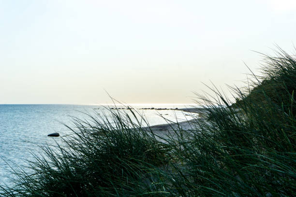 istock Bornholm beach, Denmark, on a evening in summer 967321420