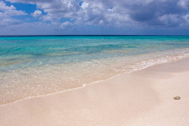 istock Caribbean beach shore wave background, Curacao island. 967332444