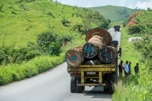 巨大な熱帯木材、コンゴの輸送 - congo river ストックフォトと画像