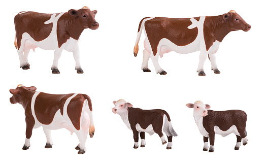 cow, stage of milk processing. illustration. dairy product