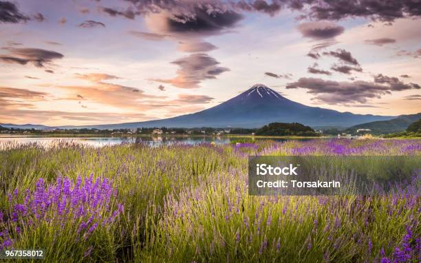 Mountain Fuji Stock Photo - Download Image Now - Japan, Agricultural Field, Asia