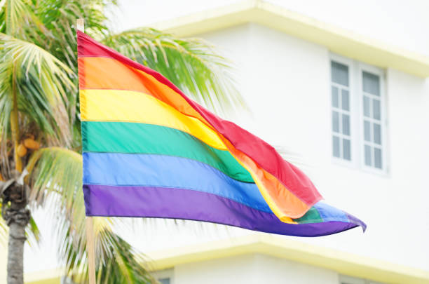 istock Gay Pride Rainbow Flag Waving with Palm Tree 967360444