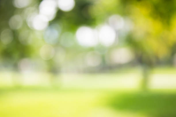 istock green blurred backdrop of nature, circle light wallpaper, white bokeh background 967372354