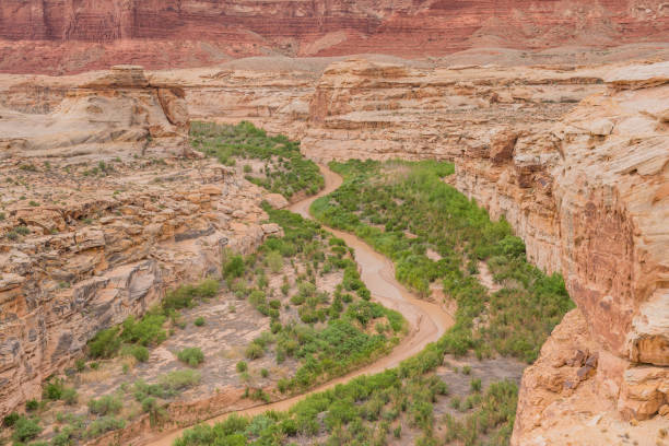 istock Dirty Devil River Glen Canyon National Recreation Area Utah 967411190