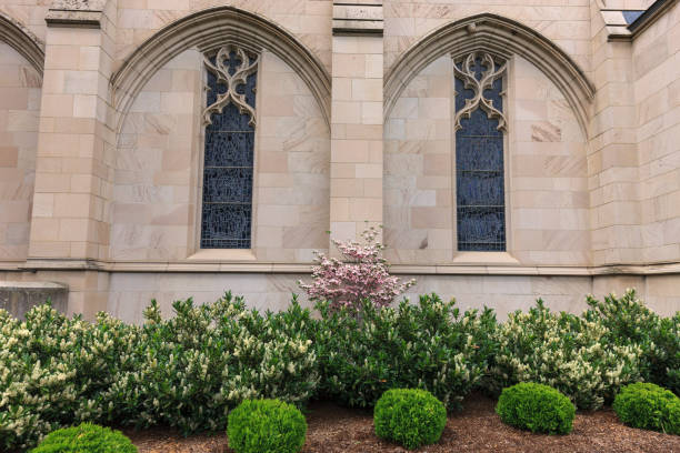 istock Windows and plants next to church. 967411238