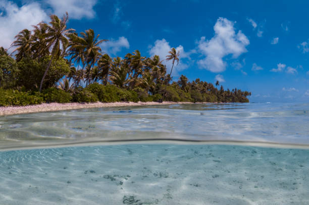 istock Huahine island - French Polynesia 967429290