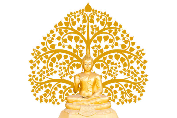 buddha statue buddha statue on bodhi tree background, The important day of buddhist concept dharma stock pictures, royalty-free photos & images