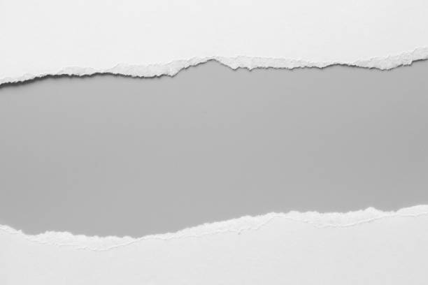 istock white torn paper on gray background. collection paper rip 967483516