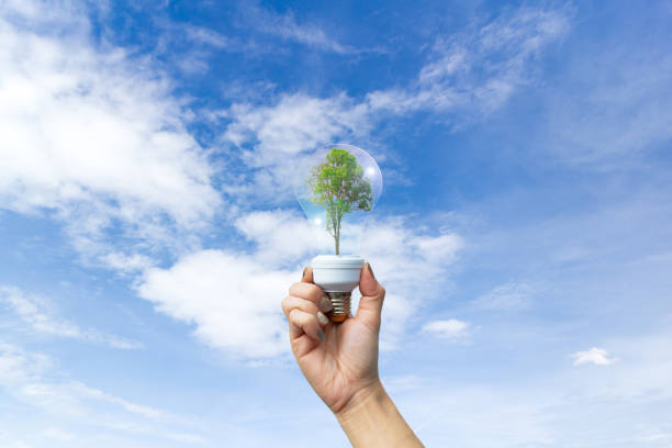 istock human hands holding big plant tree in light bulb with ecology concept world environment 967505022