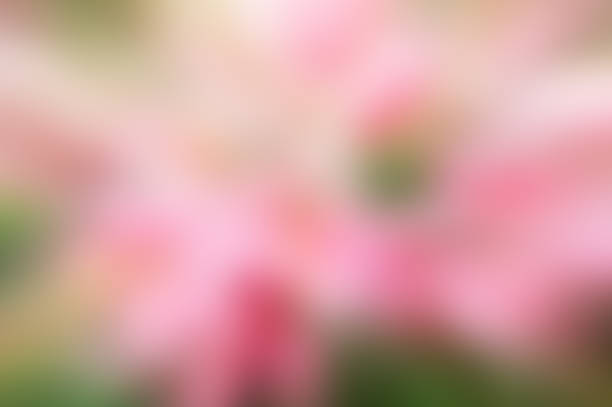 istock Abstract color mix blur and gadiant style background 967512894
