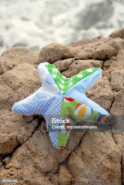 Seestern On The Rocks Stockfoto und mehr Bilder von Baumwolle - Baumwolle, Bizarr, Blau