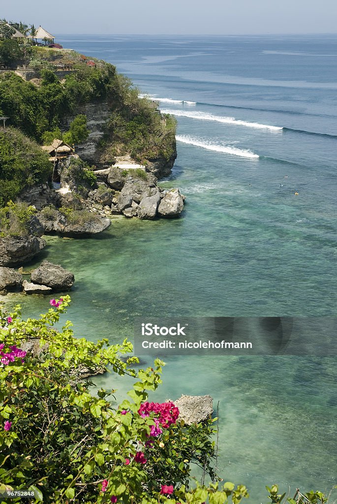 Vogel - Lizenzfrei Bali Stock-Foto