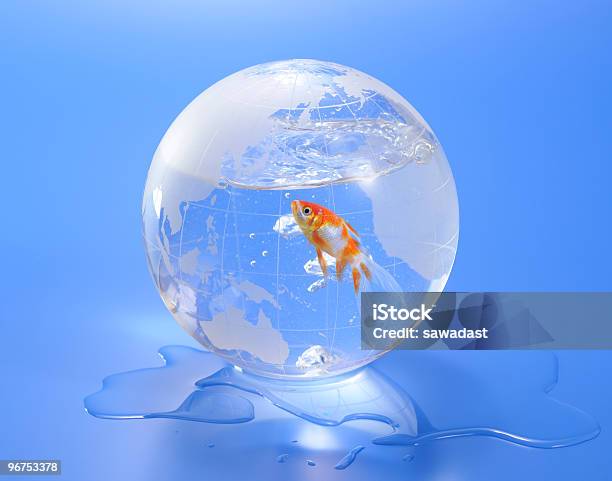 Carpa Dorada En Globo Foto de stock y más banco de imágenes de Agua - Agua, Agua potable, Azul