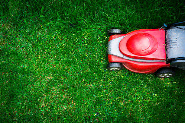 Top view on mowing the grass. The gardener mows the grass with a red electric mower. Work in the garden, spring cleaning. Care for the garden and grass. mann stock pictures, royalty-free photos & images