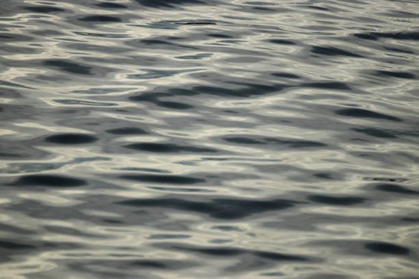 istock The sea is a strange gray wave. 967556758