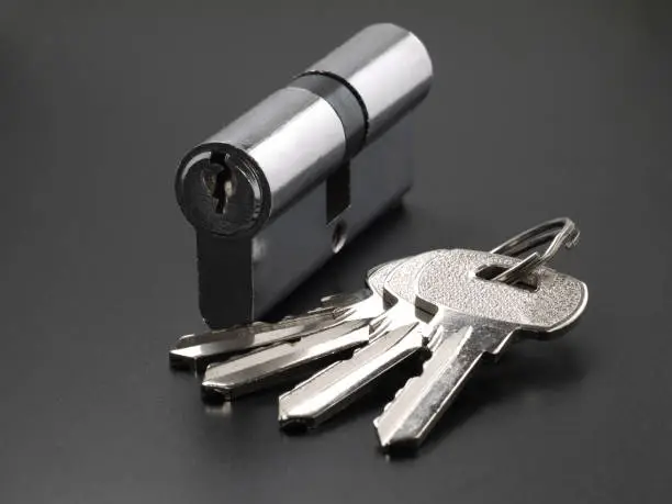 Pin tumbler of cylinder lock internal mechanism and set of keys