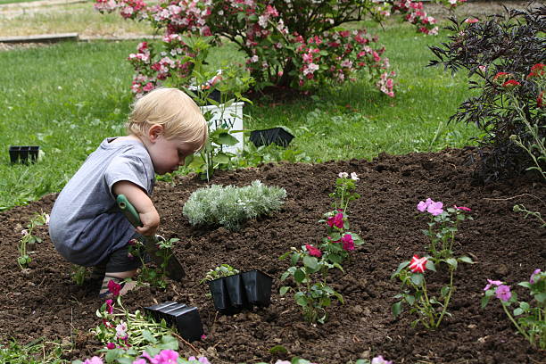 Toddler Gardening
