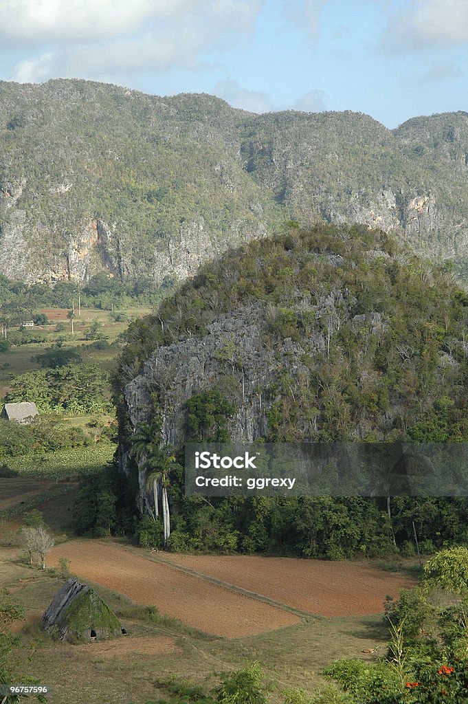 Pinar del Rio II - Foto de stock de Agricultura royalty-free