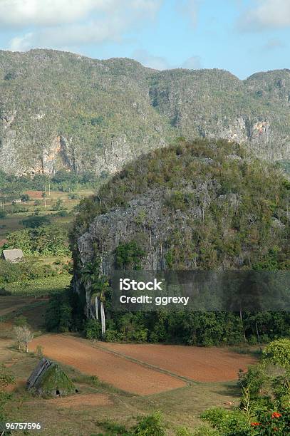 Pinar Del Rio Ii - Fotografias de stock e mais imagens de Agricultura - Agricultura, Ajardinado, América Latina