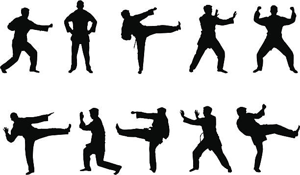 무술 실루엣 - karate kicking tae kwon do martial stock illustrations