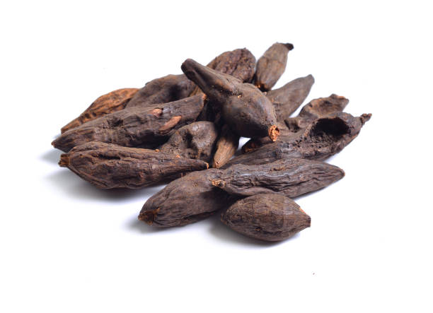 istock Dried medicinal herbs raw materials isolated on white. Root of Filipendula 967661014