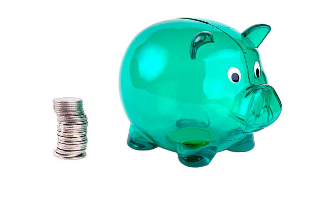 istock Money And Piggy Bank 96767130