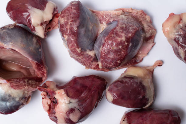 istock Bird chicken, turkey giblets gizzards. Raw uncooked chicken, turkey gizzards. 967673042