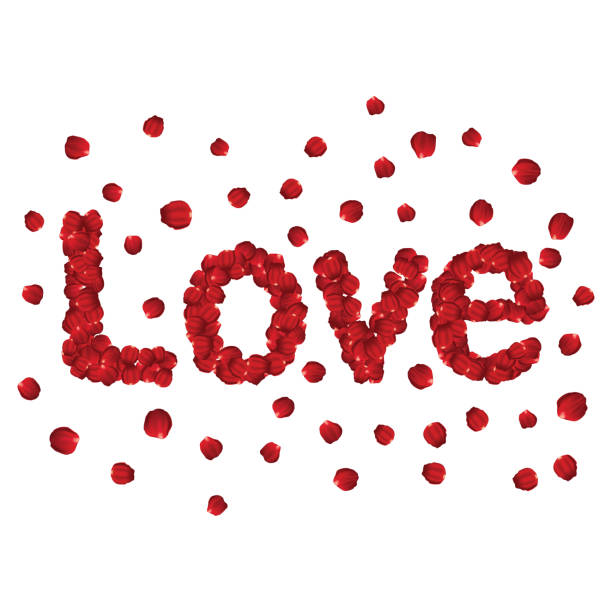 istock rose petals  love shape isolated on white background,illustration valentine day 967673146