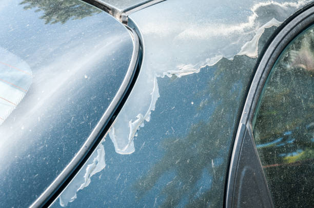 istock Blue car with damaged and peeled paint and protective lacquer close up selective focus 967688124
