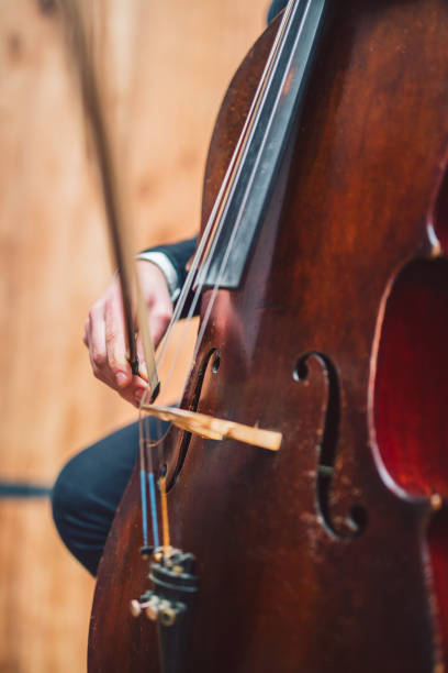 istock Hand of young artist playing classical music on cello. 967704744
