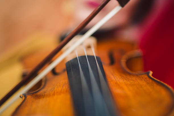 bella artista donna che suona il violino sul palco. - musical instrument people music young adult foto e immagini stock