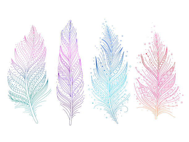 Colored bird feathers Colored bird feathers isolated objects - blue, purple, green and pink, boho style. Vector illustration. feather illustrations stock illustrations