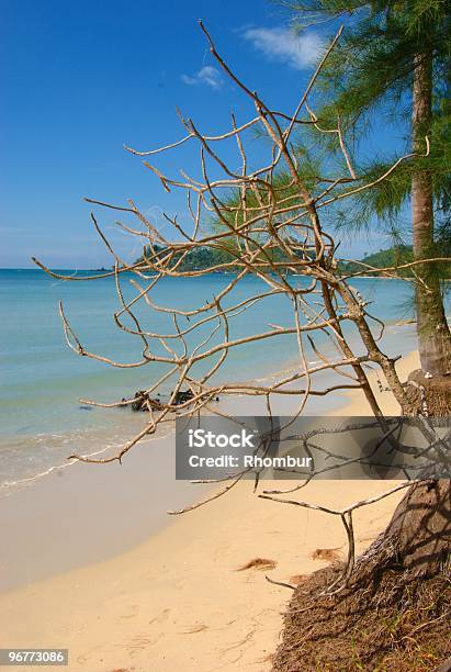 Leere Tropischen Strand Stockfoto und mehr Bilder von Asien - Asien, Ast - Pflanzenbestandteil, Baum
