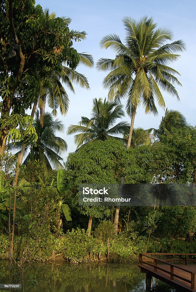 Malerischer Blick auf den Fluss in ländlichen Thailand - Lizenzfrei Asien Stock-Foto